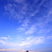朝の夏空