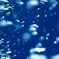 bonin blue