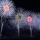 花開く夜