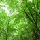 雨あがり