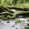奥大山に行ってきた