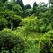 夏の日差し