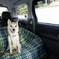 車でお出かけ