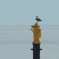 DSCN0154