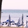 静かの海で
