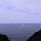 …隠岐汽船①…
