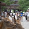 東大寺の鹿