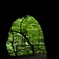 frame