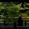 天龍寺 庭園