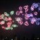 夜空の蝶　（長岡花火）