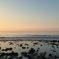IMG_4348