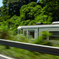 Summer train