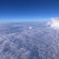 雲海（泳ぐ豚）