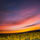 激情熱夕景夜