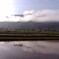 ある朝の風景