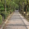 哲学の道