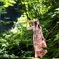 Photo girl's