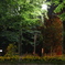 真夏の夜の公園