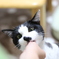 おやつ、うま〜