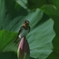ココで一休み