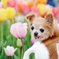 花の犬