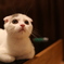 はにわ