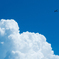夏空フライト
