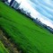 photo_7019741