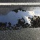雨あがり。