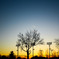 夕暮れ時