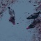 鳩ハトはと