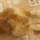 DSC00159