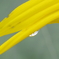 雫