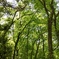 IMG00515_HDR