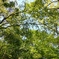 IMG00516_HDR