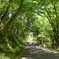 IMG00517_HDR
