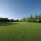 夏の終わりの緑地公園