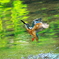 DSX01153 (2)_400mm_F5,6_SS1600_ISO800