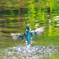 DSX01237_400mm_F5,6_SS1600_ISO800