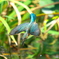 DSX03175_400mm_F5,6_SS1600_ISO640