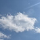 雲