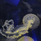 DSCF7075