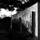 monochrome