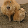 親子の２ショット！