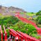 雨の元乃隅稲成神社