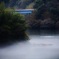 ・・沸く・・