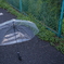 DSCF0066