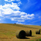 Field of Dreams