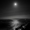 Moonlight Serenade