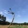 秋の空
